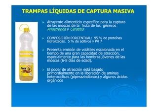 TRAMPAS LÍQUIDAS DE CAPTURA MASIVA
Atrayente alimenticio específico para la captura
de las moscas de la fruta de los géneros
Anastrepha y Ceratitis
COMPOSICIÓN PORCENTUAL: 95 % de proteínas
hidrolizadas, 5 % de aditivos y PH 7
Presenta emisión de volátiles escalonada en el
tiempo de una gran capacidad de atracción,
especialmente para las hembras jóvenes de las
moscas (6-8 días de edad).
El poder de atracción está basado
primordialmente en la liberación de aminas
heterocíclicas (piperazindionas) y algunos ácidos
orgánicos
 