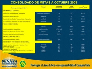 Subcomponente y actividad
Unidad
Meta anual
programada
Meta
ejecutada
%
Avance anual
CUARENTENA VEGETAL
Regulación Fitosanitaria para Importación inspección fitosanitaria 36 62 172.22
Cuarentena Interna Efectuada inspección 12 10 83.33
Emisión de Certificados Fitosanitarios de Exportación certificado 68 130 191.18
N° Certificados de Huertos con fines de Exportación certificado 46 74 160.87
MOSCAS DE LA FRUTA
Post-Erradicación y Áreas Libres
servicio 35441 30507 86.08
machos estériles 817.08 mill. 605.87 74.42
Vigilancia y Protección de Áreas Libres servicio 674 580 86.05
Difusión, capacitación y sensibilización personas atendidas 121,794 405,824 333.21%
PRODUCCION ORGANICA
Difusión del sistema de control personas sensibilizadas 288 223 77.43
REGISTRO Y CONTROL DE PLAGUICIDAS
Reg. de Establec, Almacenes y Asesores Técn.
Ensayos de Eficacia
Personal de SENASA capacitado
Acciones de Fiscalización
Cuantificación de Plaguicidas decomisados y su zonificac.
Acciones de capacitación
resolución
supervisado
evento
acción
informe
informe
06
04
02
24
02
04
00
00
01 *
33
02
04
00.00
00.00
50.00
137.50
100.00
100.00
CONSOLIDADO DE METAS A OCTUBRE 2008
 