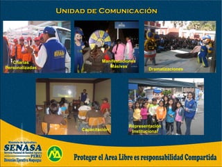 Charlas
Personalizadas
Manifestaciones
Masivas
Dramatizaciones
Capacitación
Representación
Institucional
Unidad de ComunicaciónUnidad de Comunicación
 