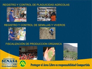 REGISTRO Y CONTROL DE PLAGUICIDAS AGRICOLAS
REGISTRO Y CONTROL DE SEMILLAS Y VIVEROS
FISCALIZACIÓN DE PRODUCCION ORGANICA
 