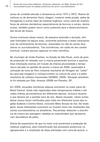 10 
Surtos da mosca-dos-estábulos, Stomoxys calcitrans, em Mato Grosso do Sul: 
novo problema para as cadeias produtivas da carne e sucroalcooleira? 
sença de umidade elevada e temperatura entre 15ºC e 30ºC. Restos de culturas ou de alimentos (feno, silagem, material verde picado, palha de forrageiras) e outros tipos de material orgânico, como cama de aviários, fezes de animais domésticos especialmente de bovinos e suínos, dentre outras, também podem servir como substrato para o desenvolvimento das larvas da mosca. 
Surtos eventuais dessa mosca, de pequena extensão e duração, têm sido noticiados há alguns anos, ocorrendo próximos a áreas canavieiras e/ou de confinamento de bovinos, associados ou não às usinas alcooleiras ou sucroalcooleiras. Tais ocorrências, em razão do seu caráter eventual, tiveram poucos registros no meio científico. 
No município de União Paulista, no Estado de São Paulo, surto de grande proporção foi relatado com a mosca parasitando bovinos e equinos. Essa infestação ocorreu em função da intensa pluviosidade e temperatura elevada no período de janeiro a março de 2008, associadas à utilização de torta de filtro (material resultante da filtragem do “caldo” da cana pós-moagem) e vinhaça/vinhoto na cultura da cana e à palha resultante da colheita mecanizada (GOMES, 2009). Situação semelhante foi relatada por Oda; Arantes (2009) em Planalto, SP. 
Em 2009, situações climáticas atípicas ocorreram na maior parte do Brasil Central, tendo sido registradas altas temperaturas médias e elevados índices pluviométricos em diferentes épocas, inclusive durante o que deveria ser o período seco do ano. Nessa situação, vários surtos dessa mosca foram notificados pela mídia em diferentes locais das regiões Sudeste e Centro-Oeste, incluindo Mato Grosso do Sul. De modo geral, essas infestações ocorreram ou tiveram início nas imediações das usinas sucroalcooleiras ou alcooleiras. Pecuaristas relataram a ocorrência da mosca em pastagens vedadas ou subutilizadas que apresentavam abundância de palha. 
Diante da expectativa de que no meio rural aumentará a produção de resíduos orgânicos, pela intensificação dos processos produtivos na agropecuária e a ampliação de áreas plantadas com cana-de-açúcar, o  