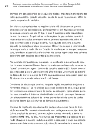 20 
Surtos da mosca-dos-estábulos, Stomoxys calcitrans, em Mato Grosso do Sul: 
novo problema para as cadeias produtivas da carne e sucroalcooleira? 
animais em consequência do ataque da mosca, mas foram mencionadas pelos pecuaristas, grande irritação, perda de peso nos animais, além de queda na produção de leite. 
Em visitas a propriedades na região sul de MS observou-se que os primeiros surtos aconteceram, principalmente, em fazendas próximas de usinas, em um raio de 11 km, o que é explicado pela capacidade de voo da mosca. As primeiras reclamações de pecuaristas quanto à mosca-dos-estábulos aconteceram na primeira quinzena de julho. O pico de infestação e ataque ocorreu na segunda quinzena de julho, seguido de redução gradual do ataque. Observou-se que a intensidade de ataque varia a cada dia em função de mudanças no tempo (temperatura, umidade, expectativa de chuva). Os danos reportados nos bovinos conferem com aqueles descritos pela literatura. 
No local da compostagem, na usina, foi verificada a presença de adultos da mosca-dos-estábulos, bem como de ovos e larvas de moscas na “torta” da compostagem. Larvas de terceiro estádio (L3) foram coletadas e levadas para o Laboratório de Entomologia Veterinária da Embrapa Gado de Corte; e cerca de 90% das moscas que emergiram eram de M. domestica e as demais eram S. calcitrans. 
O volume de chuva que ocorreu naquela região no período de junho a novembro (Figura 12) foi atípica para esse período do ano, o que pode ter favorecido o aparecimento do surto. A estiagem, típica desse período, que precedeu à intensa pluviosidade contribuiu para que houvesse um sincronismo na eclosão de larvas provenientes de ovos de várias posturas assim que as chuvas se tornaram abundantes. 
O clima da região de ocorrência dos surtos situa-se na faixa de transição entre o Cfa mesotérmico úmido sem estiagem e o subtipo AW (clima tropical de savana) com estação chuvosa no verão e seca no inverno (OMETTO, 1981). As chuvas são frequentes e pesadas no período chuvoso e quente (outubro a abril) e escassas e leves no período seco e mais frio (maio a setembro), situação semelhante a cerca de  