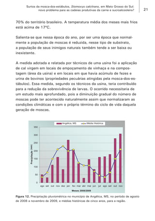 21 
Surtos da mosca-dos-estábulos, Stomoxys calcitrans, em Mato Grosso do Sul: 
novo problema para as cadeias produtivas da carne e sucroalcooleira? 
70% do território brasileiro. A temperatura média dos meses mais frios está acima de 17ºC. 
Salienta-se que nessa época do ano, por ser uma época que normalmente a população de moscas é reduzida, nesse tipo de substrato, a população de seus inimigos naturais também tende a ser baixa ou inexistente. 
A medida adotada e relatada por técnicos de uma usina foi a aplicação de cal virgem em locais de empoçamento de vinhaça e na compostagem (área da usina) e em locais em que havia acúmulo de fezes e urina de bovinos (propriedades pecuárias atingidas pela mosca-dos-estábulos). Essa medida, segundo os técnicos da usina, teria contribuído para a redução da sobrevivência de larvas. O ocorrido necessitaria de um estudo mais aprofundado, pois a diminuição gradual do número de moscas pode ter acontecido naturalmente assim que normalizaram as condições climáticas e com o próprio término do ciclo de vida daquela geração de moscas. 
Figura 12. Precipitação pluviométrica no município de Angélica, MS, no período de agosto de 2008 a novembro de 2009, e médias históricas de cinco anos, para a região.  
