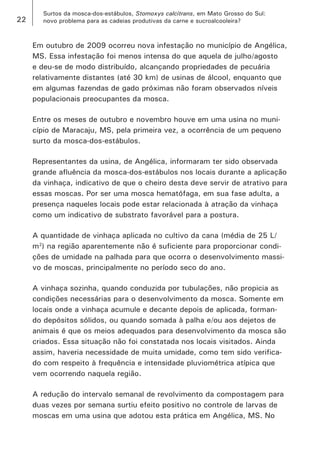 22 
Surtos da mosca-dos-estábulos, Stomoxys calcitrans, em Mato Grosso do Sul: 
novo problema para as cadeias produtivas da carne e sucroalcooleira? 
Em outubro de 2009 ocorreu nova infestação no município de Angélica, MS. Essa infestação foi menos intensa do que aquela de julho/agosto e deu-se de modo distribuído, alcançando propriedades de pecuária relativamente distantes (até 30 km) de usinas de álcool, enquanto que em algumas fazendas de gado próximas não foram observados níveis populacionais preocupantes da mosca. 
Entre os meses de outubro e novembro houve em uma usina no município de Maracaju, MS, pela primeira vez, a ocorrência de um pequeno surto da mosca-dos-estábulos. 
Representantes da usina, de Angélica, informaram ter sido observada grande afluência da mosca-dos-estábulos nos locais durante a aplicação da vinhaça, indicativo de que o cheiro desta deve servir de atrativo para essas moscas. Por ser uma mosca hematófaga, em sua fase adulta, a presença naqueles locais pode estar relacionada à atração da vinhaça como um indicativo de substrato favorável para a postura. 
A quantidade de vinhaça aplicada no cultivo da cana (média de 25 L/ m2) na região aparentemente não é suficiente para proporcionar condições de umidade na palhada para que ocorra o desenvolvimento massivo de moscas, principalmente no período seco do ano. 
A vinhaça sozinha, quando conduzida por tubulações, não propicia as condições necessárias para o desenvolvimento da mosca. Somente em locais onde a vinhaça acumule e decante depois de aplicada, formando depósitos sólidos, ou quando somada à palha e/ou aos dejetos de animais é que os meios adequados para desenvolvimento da mosca são criados. Essa situação não foi constatada nos locais visitados. Ainda assim, haveria necessidade de muita umidade, como tem sido verificado com respeito à frequência e intensidade pluviométrica atípica que vem ocorrendo naquela região. 
A redução do intervalo semanal de revolvimento da compostagem para duas vezes por semana surtiu efeito positivo no controle de larvas de moscas em uma usina que adotou esta prática em Angélica, MS. No  