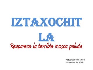 Iztaxochit
    la
Reaparece la terrible mosca peluda
                          Actualizado el 10 de
                          diciembre de 2010
 