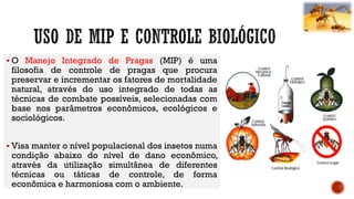  O Manejo Integrado de Pragas (MIP) é uma
filosofia de controle de pragas que procura
preservar e incrementar os fatores de mortalidade
natural, através do uso integrado de todas as
técnicas de combate possíveis, selecionadas com
base nos parâmetros econômicos, ecológicos e
sociológicos.
 Visa manter o nível populacional dos insetos numa
condição abaixo do nível de dano econômico,
através da utilização simultânea de diferentes
técnicas ou táticas de controle, de forma
econômica e harmoniosa com o ambiente.
 