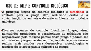 A principal função do controle biológico é direcionar o
controle para a praga alvo, reduzindo custos e a
contaminação de animais e do meio ambiente por produtos
químicos.
Diversos agentes de controle (bactérias, fungos, vírus,
nematóides predadores e parasitóides) de tefritídeos são
responsáveis pela redução parcial desta praga e podem ser
utilizados em programas de controle, no entanto, é necessário
realizar mais estudos para desenvolver metodologias e
técnicas de criações para a aplicação no campo.
 