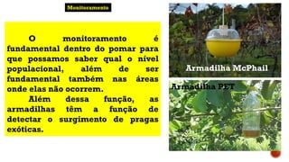 O monitoramento é
fundamental dentro do pomar para
que possamos saber qual o nível
populacional, além de ser
fundamental também nas áreas
onde elas não ocorrem.
Além dessa função, as
armadilhas têm a função de
detectar o surgimento de pragas
exóticas.
Monitoramento
Armadilha McPhail
Armadilha PET
 