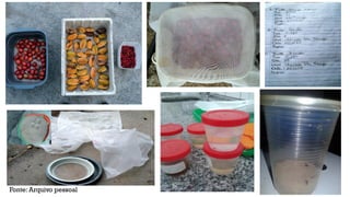 Fonte: Arquivo pessoal
 