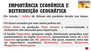 No mundo, 1 bilhão de dólares são perdidos devido aos danos.
Os danos causados por esse inseto podem ser:
Dano direto na produção, Dano durante a comercialização e
fechamento dos mercados para exportação;
A família Tephritidae apresenta ampla distribuição geográfica com
predominância na região Neotropical, apresentando cerca de 4.352
espécies agrupadas em 481 gêneros, dos quais, somente cinco são
de importância econômica: Anastrepha, Ceratitis, Bactrocera,
Rhagoletis e Toxotrypana.
 