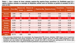 Espécies Peso (Kg)
Número de
frutos
Número de
pupários
Pupários/Kg Pupários/frutos
Parasitismo
%
Viabilidade
pupal %
Acerola 1,900 450 64 33,68 0,14 9,52 32,81
Amêndoa 1,845 60 8 4,34 0,13 0,00 75,00
Cajá 3,005 283 620 206,32 2,19 20,75 47,42
Carambola 14,550 281 1521 104,54 5,41 1,02 51,35
Goiaba 2,350 37 148 62,98 4,00 0,00 75,68
Laranja 0,920 6 64 69,57 10,67 0,00 68,75
Manga 4,475 21 12 2,68 0,57 0,00 41,67
Maracujá 0,965 7 84 87,05 12,00 0,00 39,29
Seriguela 2,520 129 534 211,90 4,14 18,88 70,41
Total 32,715 1280 3055
Tabela 1 – Peso e número de frutos coletados, pupários/Kg, pupários/frutos, parasitismo (%), Viabilidade pupal (%) e
espécies frutíferas coletadas no município de Araguatins, extremo norte do Tocantins no período de novembro de 2013 a
maio de 2014.
 Dos pomares domésticos do município de Araguatins-TO, foram obtidos 1280 frutos de 9 espécies
frutíferas diferentes, dos quais totalizam 32,715 quilos. Deste total, foi obtido 3055 pupários o que
resultou em um índice de infestações que variam de 2,68 a 211,90 por quilograma de frutos que
variam de acordo com a espécie frutífera presente nos pomares (Tabela 1).
 
