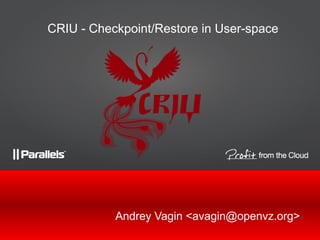 CRIU - Checkpoint/Restore in User-space

Andrey Vagin <avagin@openvz.org><

 
