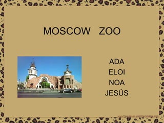 MOSCOW ZOO
ADA
ELOI
NOA
JESÚS
 