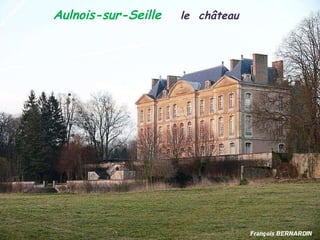 Aulnois-sur-Seille  le  château 