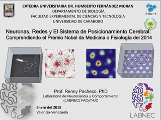 Prof. Renny Pacheco, PhD
Laboratorio de Neurociencia y Comportamiento
(LABNEC) FACyT-UC
CÁTEDRA UNIVERSITARIA DR. HUMBERTO FERNÁNDEZ MORAN
DEPARTAMENTO DE BIOLOGÍA
FACULTAD EXPERIMENTAL DE CIENCIAS Y TECNOLOGIA
UNIVERSIDAD DE CARABOBO
Neuronas, Redes y El Sistema de Posicionamiento Cerebral:
Comprendiendo el Premio Nobel de Medicina o Fisiología del 2014
Enero del 2015
Valencia-Venezuela
 