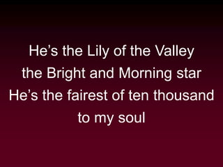 He’s the Lily of the Valley
the Bright and Morning star
He’s the fairest of ten thousand
to my soul
 