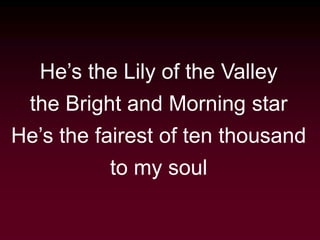 He’s the Lily of the Valley
the Bright and Morning star
He’s the fairest of ten thousand
to my soul
 