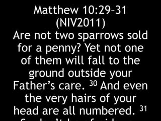 Matthew 10:29–31
(NIV2011)
Are not two sparrows sold
for a penny? Yet not one
of them will fall to the
ground outside your
Father’s care. 30 And even
the very hairs of your
head are all numbered. 31
 