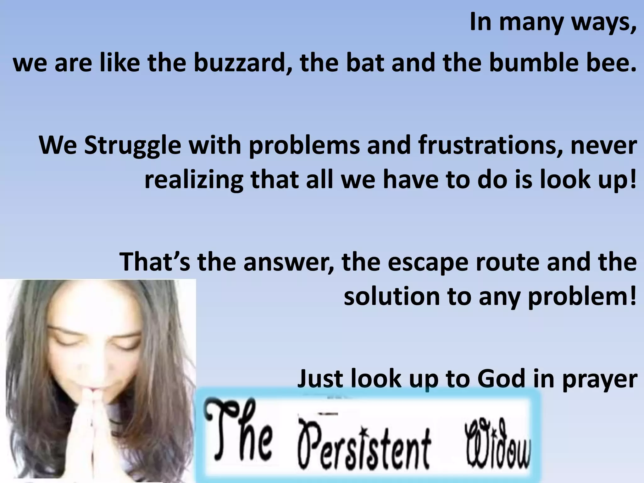 In many ways,
we are like the buzzard, the bat and the bumble bee.
We Struggle with problems and frustrations, never
realizing that all we have to do is look up!
That’s the answer, the escape route and the
solution to any problem!
Just look up to God in prayer
 