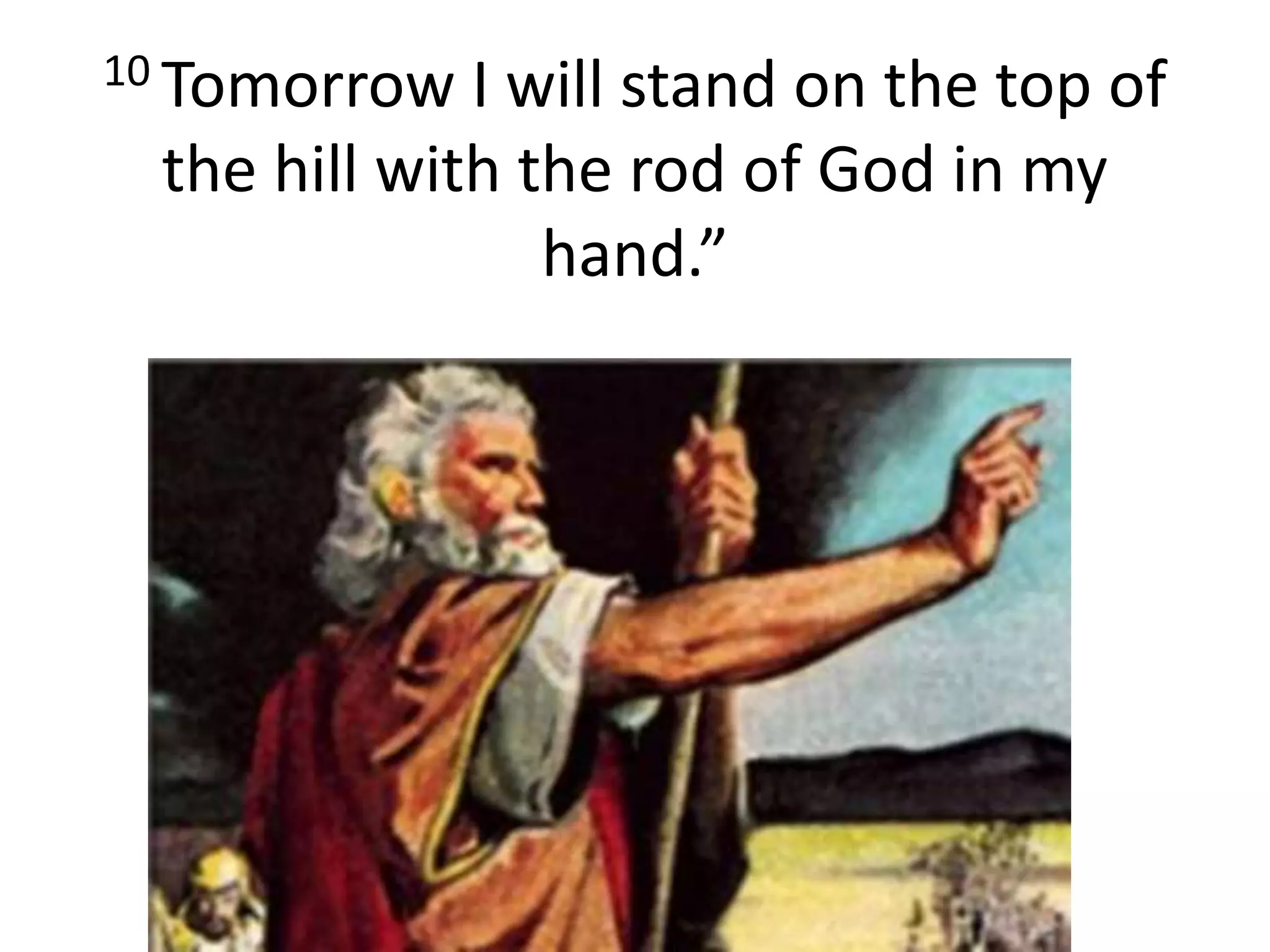 10 Tomorrow I will stand on the top of
the hill with the rod of God in my
hand.”
 