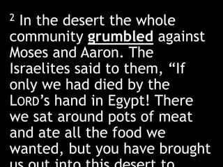 2 In the desert the whole
community grumbled against
Moses and Aaron. The
Israelites said to them, “If
only we had died by the
LORD’s hand in Egypt! There
we sat around pots of meat
and ate all the food we
wanted, but you have brought
 