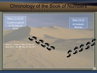 Is Gen 1-11 factual history (Orthodox/Fundamentalist view)?