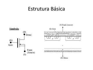 Estrutura Básica
 