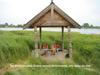 На берегах реки Онеги много источников, это один из них.
 