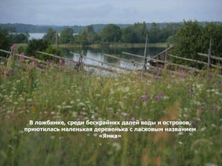 В ложбинке, среди бескрайних далей воды и островов,
приютилась маленькая деревенька с ласковым названием
                       «Ямка»
 