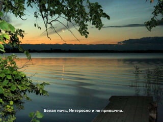 Белая ночь. Интересно и не привычно.
 