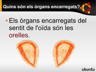 Quins són els òrgans encarregats?
 Els òrgans encarregats del
sentit de l'oïda són les
orelles.
 