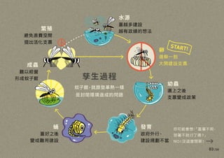 Mosquito