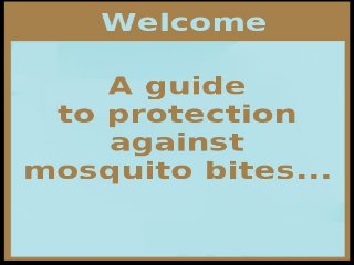 A guide to protect against mosquito bites