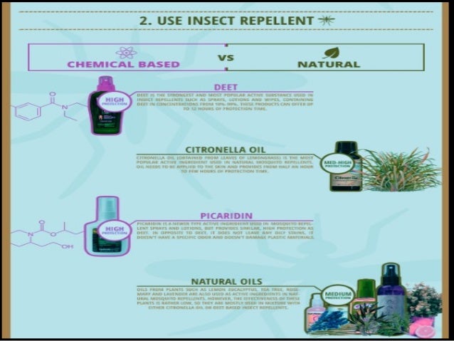 A guide to protect against mosquito bites - 웹