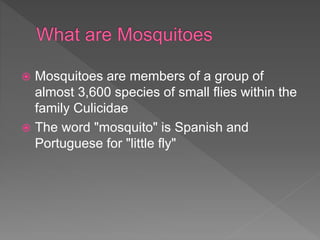  Mosquitoes are members of a group of
almost 3,600 species of small flies within the
family Culicidae
 The word "mosquito" is Spanish and
Portuguese for "little fly"
 