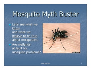 Mosquito Myth Buster
Let’s s ee w h a t w e
know
a n d w h a tw e
 b el i ev e to b e tr u e
  a b o u t m o s q u i to es .
   A r e w etl a n d s
    a t f a u lt f o r
     m o s q u i to p r o b l em s ?


                                       www.fowl.org   1
 