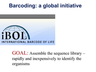 Mosquito barcoding new | PPT