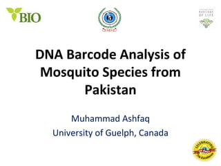 DNA Barcode Analysis of
 Mosquito Species from
       Pakistan
      Muhammad Ashfaq
  University of Guelph, Canada
 