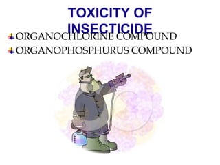 TOXICITY OF
INSECTICIDE
ORGANOCHLORINE COMPOUND
ORGANOPHOSPHURUS COMPOUND
 