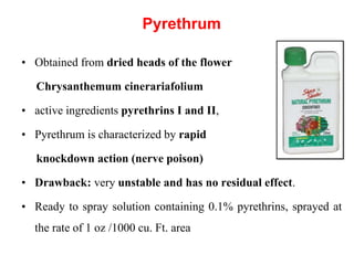 Pyrethrum
• Obtained from dried heads of the flower
Chrysanthemum cinerariafolium
• active ingredients pyrethrins I and II,
• Pyrethrum is characterized by rapid
knockdown action (nerve poison)
• Drawback: very unstable and has no residual effect.
• Ready to spray solution containing 0.1% pyrethrins, sprayed at
the rate of 1 oz /1000 cu. Ft. area
 
