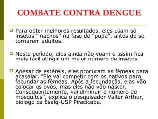  Para obter melhores resultados, eles usam só
insetos "machos" na fase de "pupa", antes de se
tornarem adultos.
 Neste período, eles ainda não voam e assim fica
mais fácil atingir um maior número de insetos.
 Apesar de estéreis, eles procuram as fêmeas para
acasalar. “Ele vai competir com os nativos para
fecundar as fêmeas. Após a fecundação, elas vão
colocar os ovos, mas eles não vão nascer.
Consequentemente, vai diminuir o número de
mosquitos”, explica o pesquisador Valter Arthur,
biólogo da Esalq-USP Piracicaba.
COMBATE CONTRA DENGUE
 