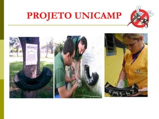 PROJETO UNICAMP
 