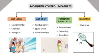 MOSQUITO CONTROL MEASURES
ANTI LARVAL LEGISLATIVE
PROTECTION
AGAINST BITES
ANTI ADULT
 Environmental
 Chemical
 Biological
 Residual sprays
 Space sprays
 Genetic control
 Mosquito net
 Screening
 Repellants
 Civic laws
 