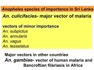 Anopheles species of importance in Sri Lanka
An. culicifacies- major vector of malaria
vectors of minor importance
An. subpictus
An. annularis
An. vagus
An. tesselatus
Major vectors in other countries
An. gambiae- vector of human malaria and
Bancroftian filariasis in Africa
 