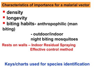 Characteristics of importance for a malarial vector
 density
 longevity
 biting habits- anthropophilic (man
biting)
- outdoor/indoor
night biting mosquitoes
Keys/charts used for species identification
Rests on walls – Indoor Residual Spraying
Effective control method
 