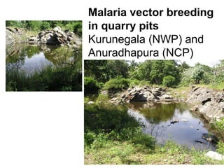 Malaria vector breeding
in quarry pits
Kurunegala (NWP) and
Anuradhapura (NCP)
 