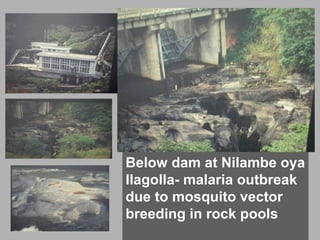 Below dam at Nilambe oya
Ilagolla- malaria outbreak
due to mosquito vector
breeding in rock pools
 