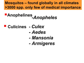 Anophelines
-Anopheles
Mosquitos – found globally in all climates
>3000 spp. only few of medical importance
 Culicines - Culex
- Aedes
- Mansonia
- Armigeres
 