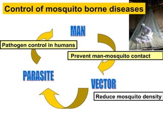 Reduce mosquito density
Pathogen control in humans
Prevent man-mosquito contact
Control of mosquito borne diseases
 