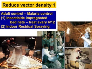 Reduce vector density 1
Adult control – Malaria control
(1) Insecticide impregnated
bed nets – treat every 6/12
(2) Indoor Residual Spraying
 